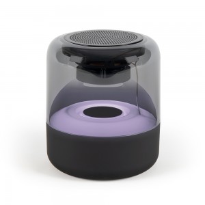 Bluetooth® compatible speaker